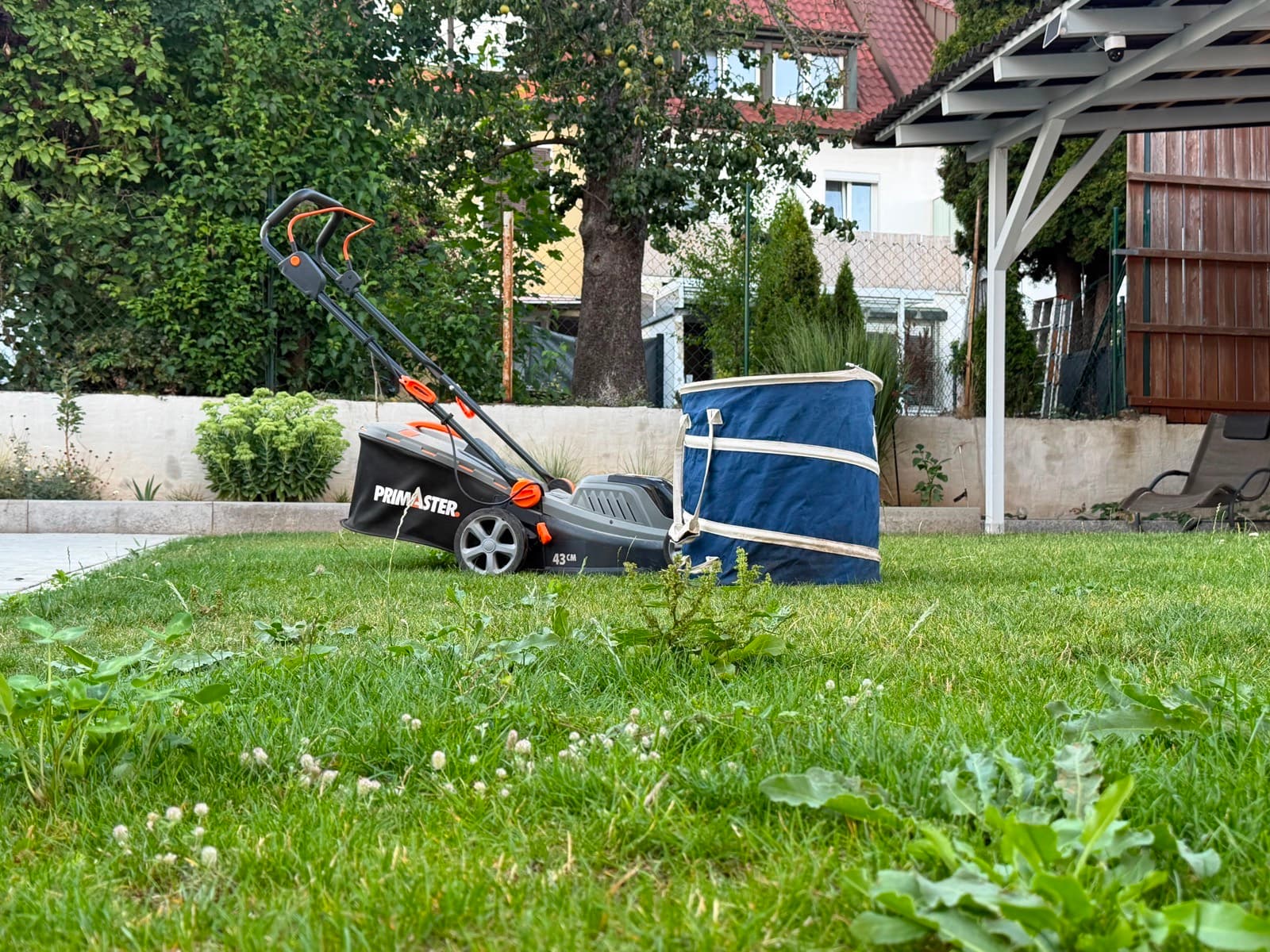 Vorher: Rasen mit Wildkraut und Klee